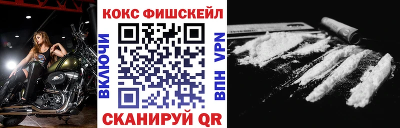 как найти закладки  Краснознаменск  Кокаин Fish Scale 