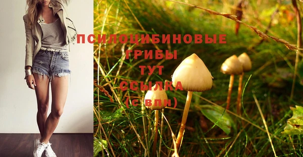 2c-b Медвежьегорск