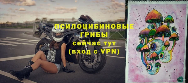 2c-b Медвежьегорск