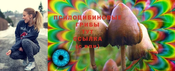 MDMA Володарск