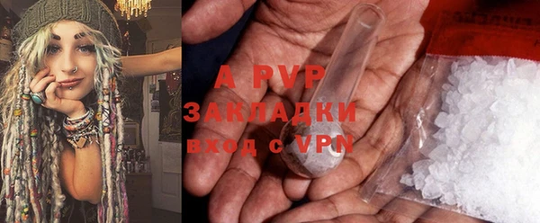 шишки Майский