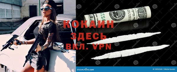шишки Майский