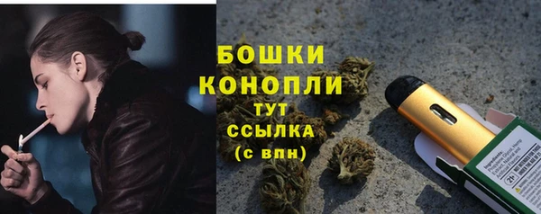 apvp Медногорск