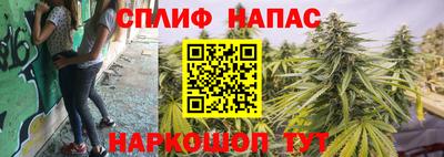 твердый Берёзовский