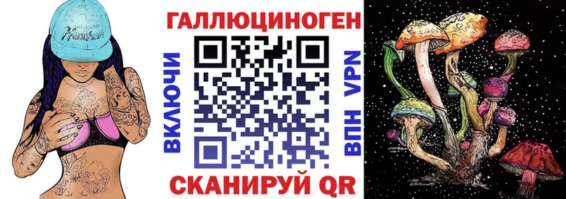 маркетплейс клад  Краснознаменск  Псилоцибиновые грибы MAGIC MUSHROOMS 