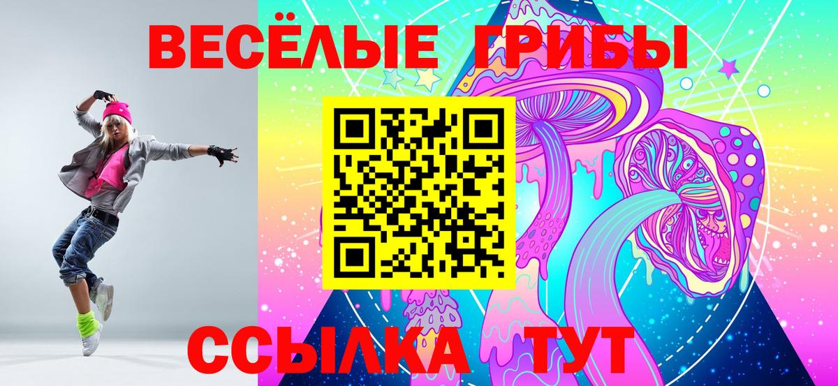 Галлюциногенные грибы Psilocybine cubensis  Галлюциногенные грибы Cubensis  Краснознаменск  Вход с VPN 