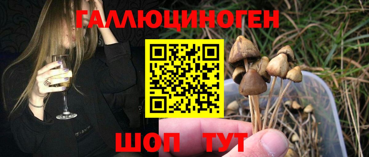 Галлюциногенные грибы MAGIC MUSHROOMS Краснознаменск